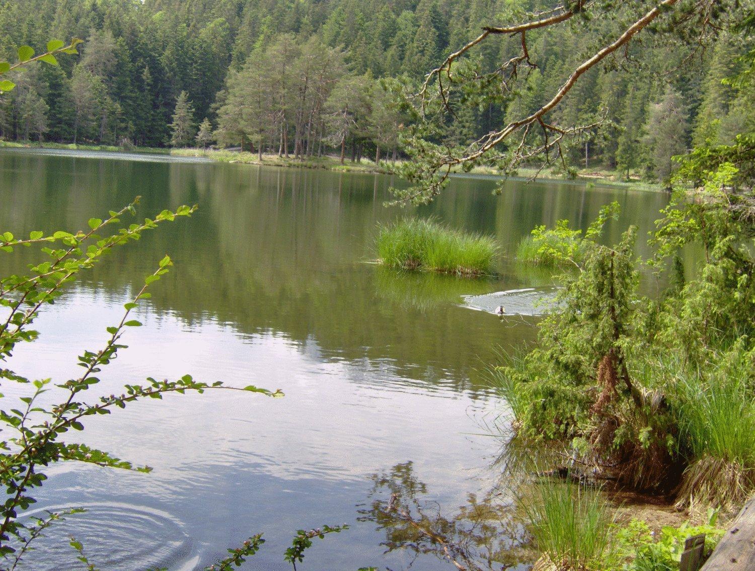 Pension Plattenhof Тельфс Екстер'єр фото